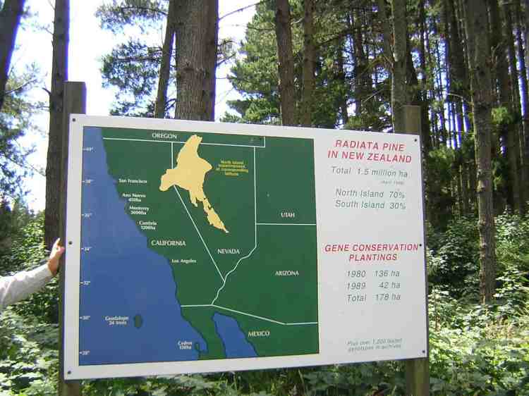 NZ's North Island Superimposed at Corresponding Latitude 