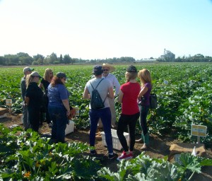 Bill Johnson, PhD, talked about squash breeding and the crops' odd market.