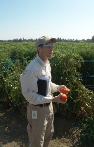 After tasting incredible melons Alan Krivanek, PhD, tries to interest us in, my personal fruit fav, tomatoes.